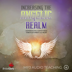 Releasing the Angelic Realm: MP3 Audio Teaching