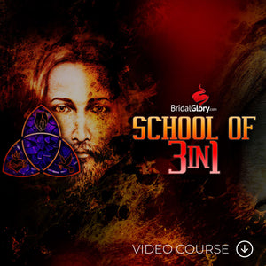 The School of 3 in 1: Video Course