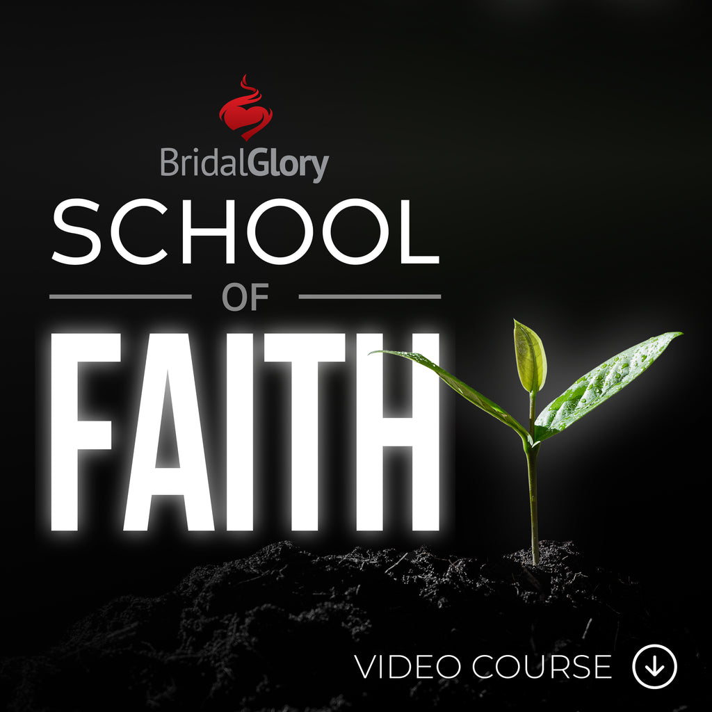 School of Faith: Video Course